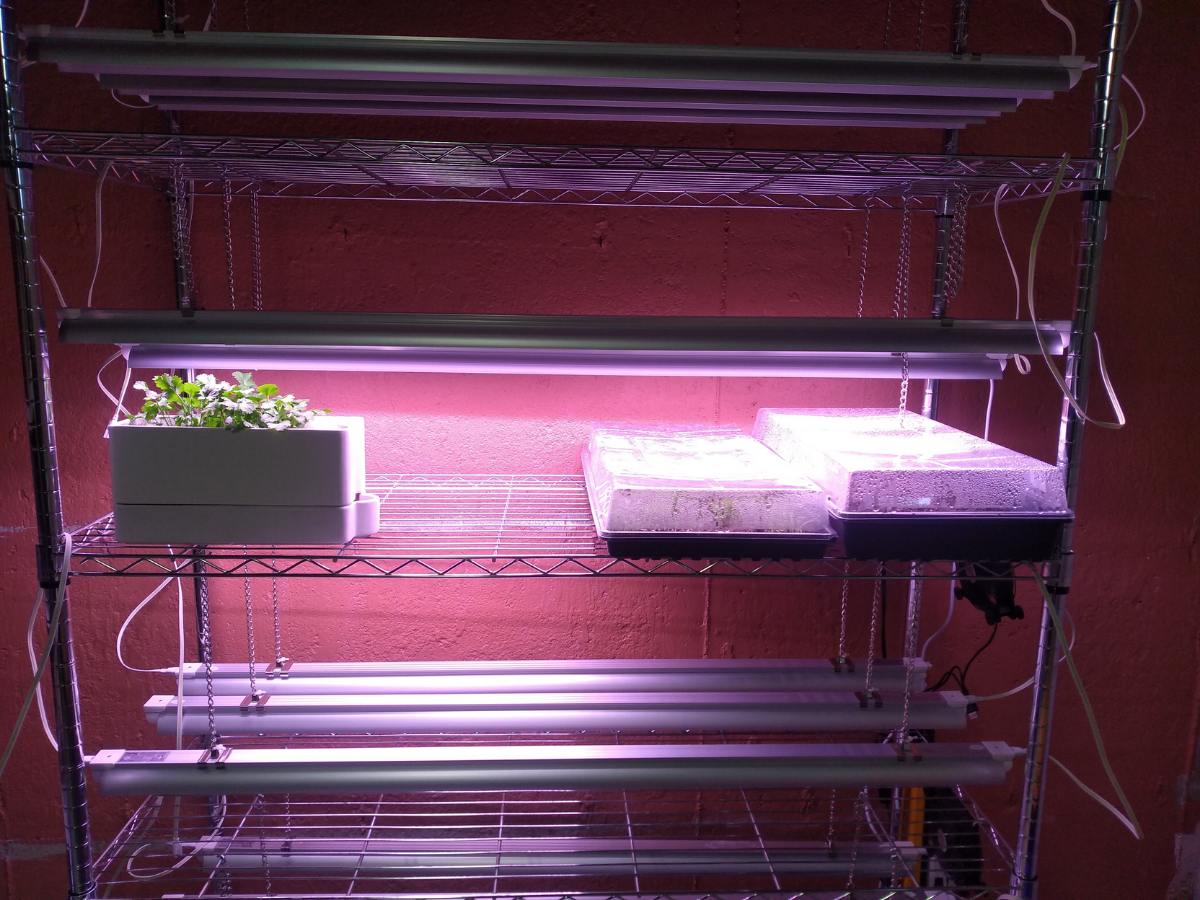 LED Grow Lights