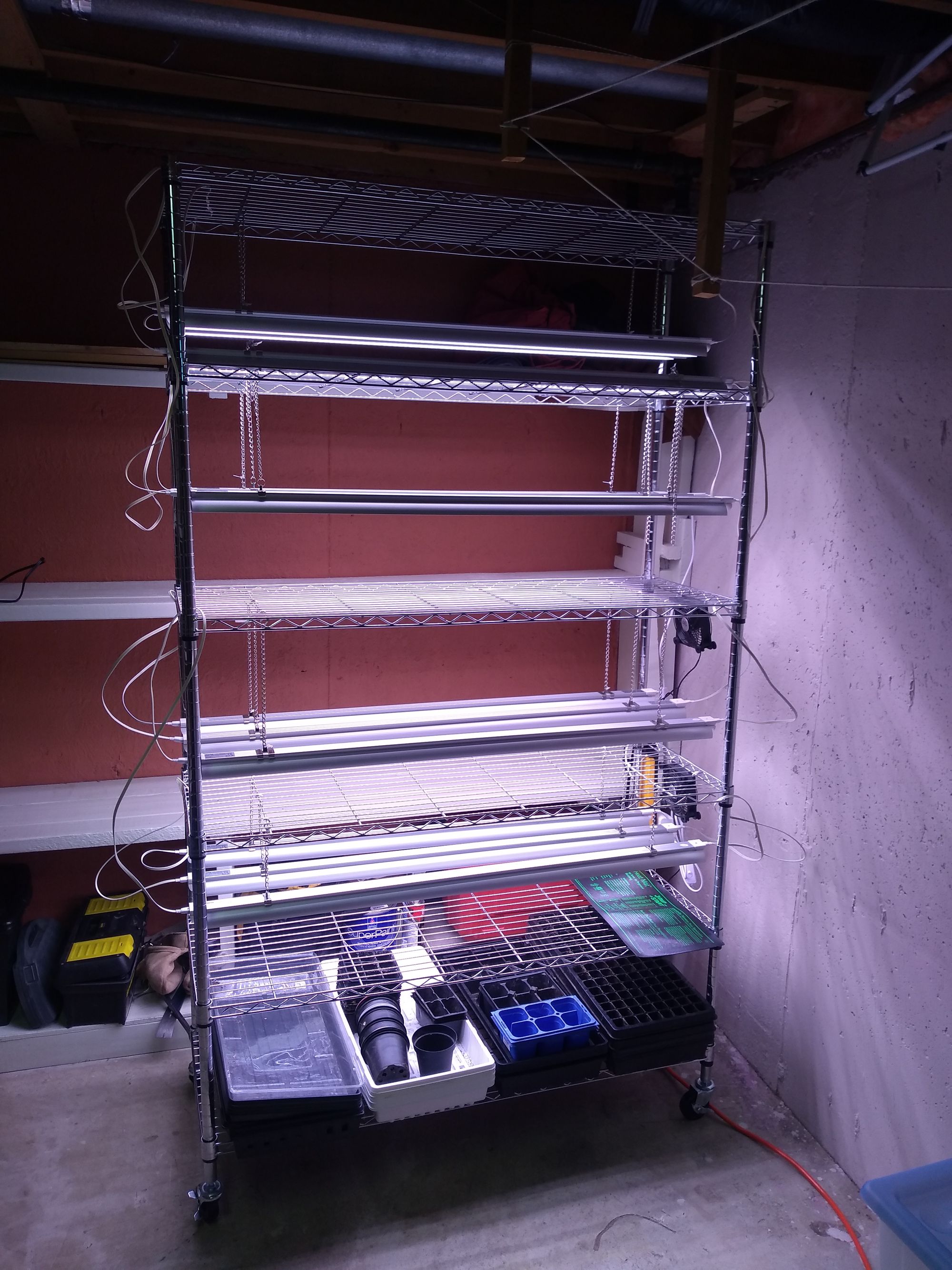 Finished grow light shelf in basement.