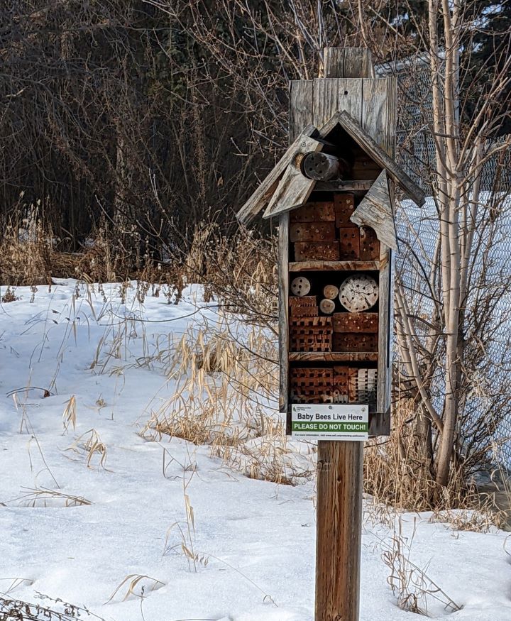 Wooden bee house with broken roof. 