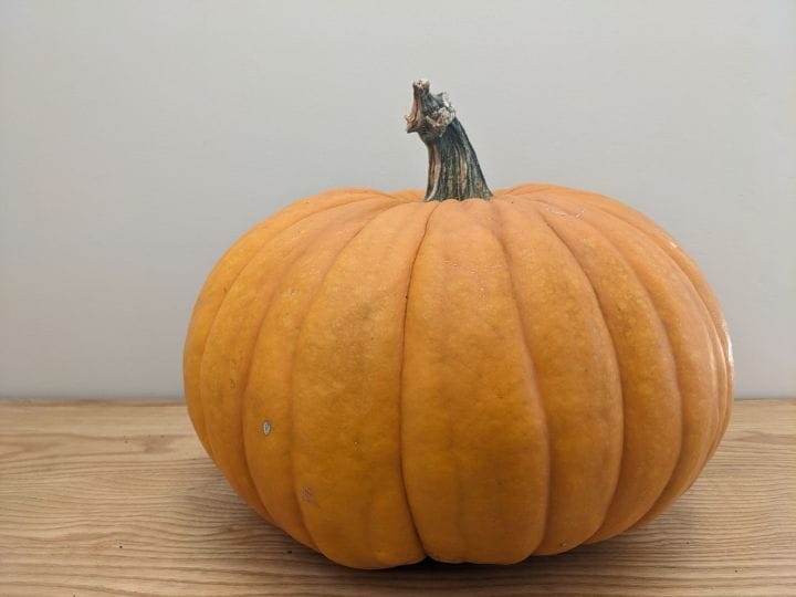 Orange pumpkin on wood bench.