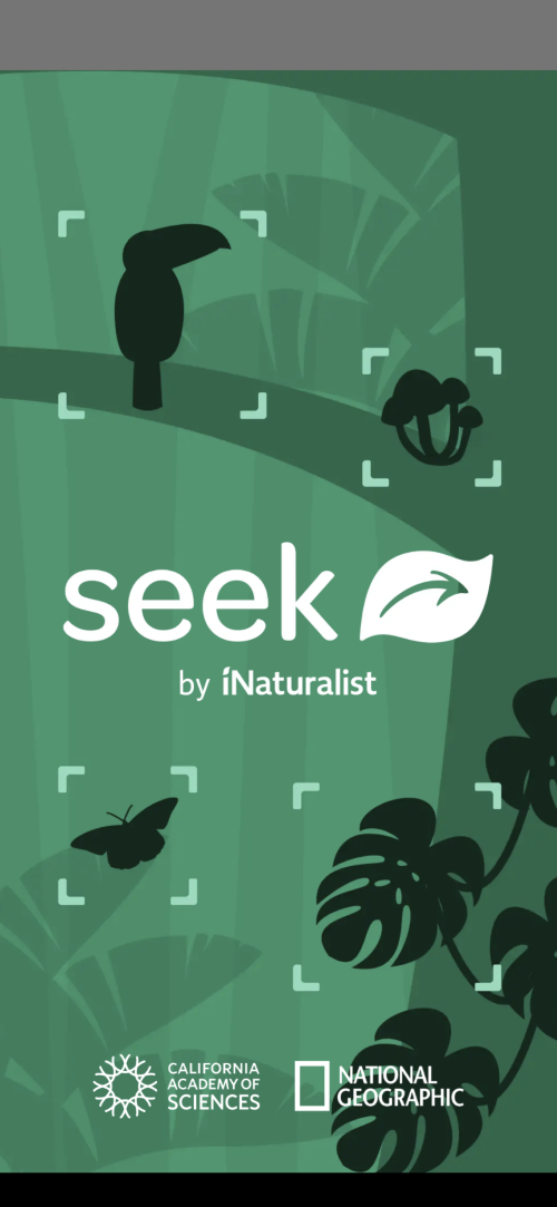 Seek app opening screen.