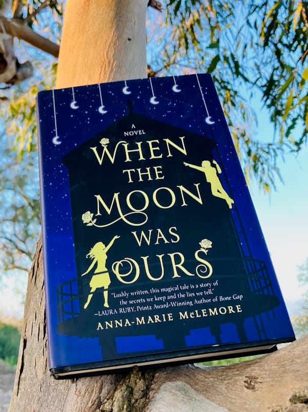 Hardcover of Anna-Marie McLemore’s WHEN THE MOON WAS OURS on tree branch