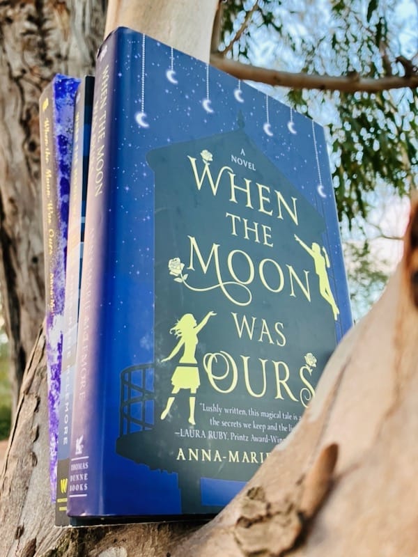 Hardcover and paperback editions of WHEN THE MOON WAS OURS resting on tree branch