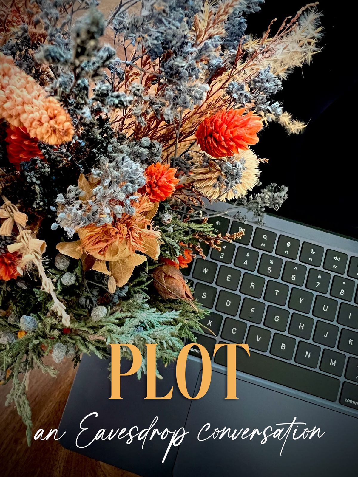 Issue 3: Plot