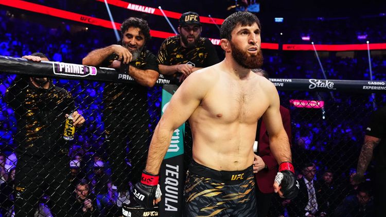 It’s the dog days of MMA summer