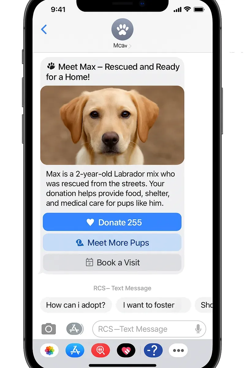 Rally Corp RCS for Fundraising Example