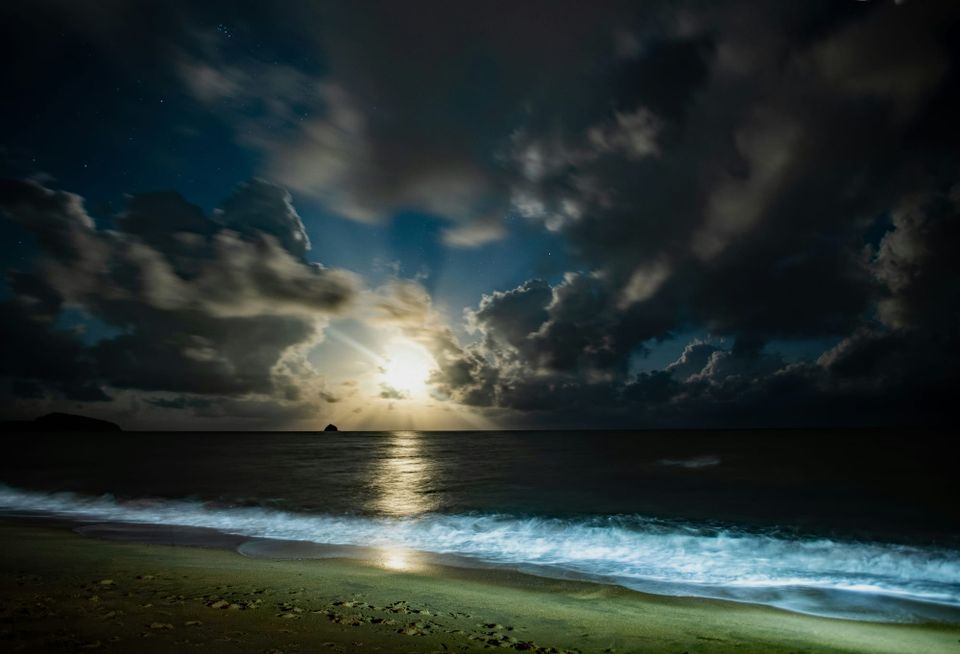 Pre-Dawn light on 2.6.26