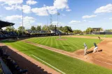Notebook: Fall exhibitions scheduled, Cats on the board in 2028 class