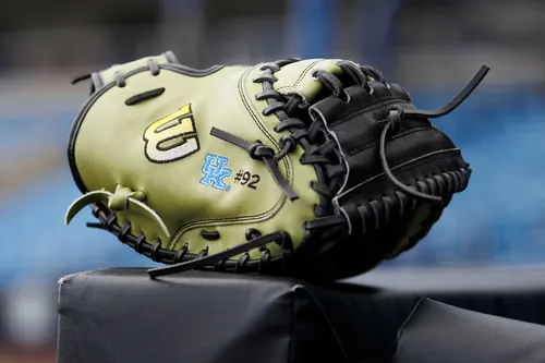 Bat Cats Insider: What areas will UK address in the portal?