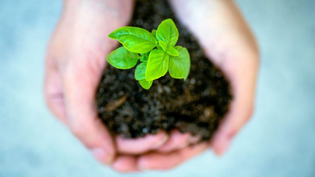 Stop Robbing Your Team of Growth