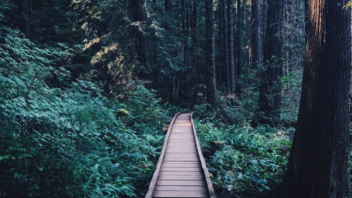 I Chose Uncertainty Over Misery