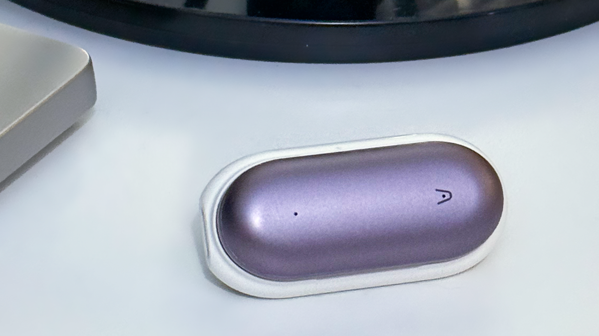 From TED Talks to Pet Talks