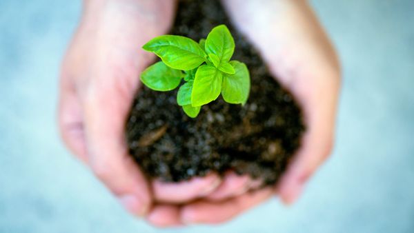 Stop Robbing Your Team of Growth