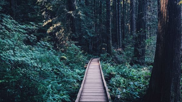 I Chose Uncertainty Over Misery