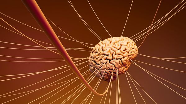 Why Your Brain Loves Vague Problems