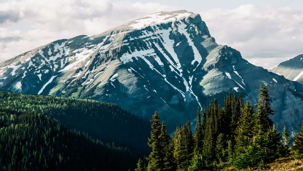 Climbing the Mountain