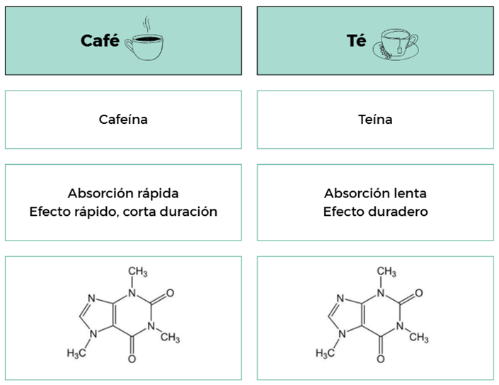 Diagrama
El contenido generado por IA puede ser incorrecto.