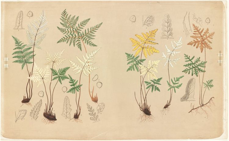 Un diario alfabético