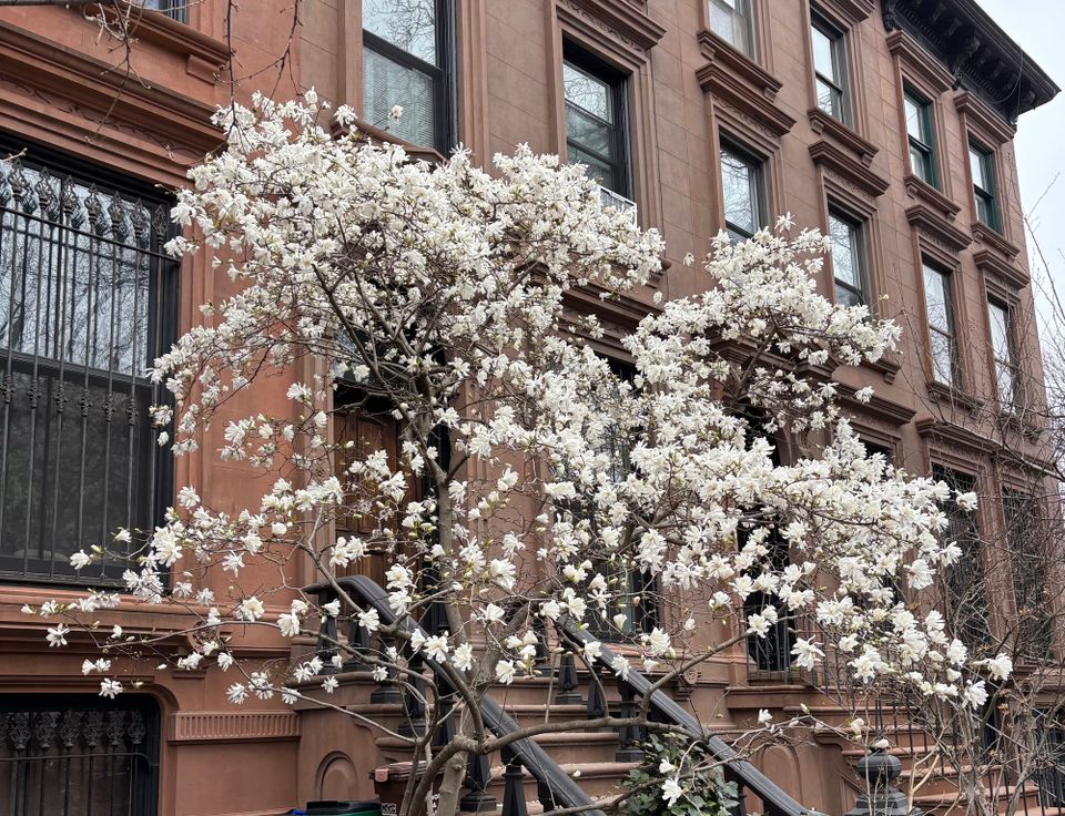 New Paper: On the Adaptive Security of FROST