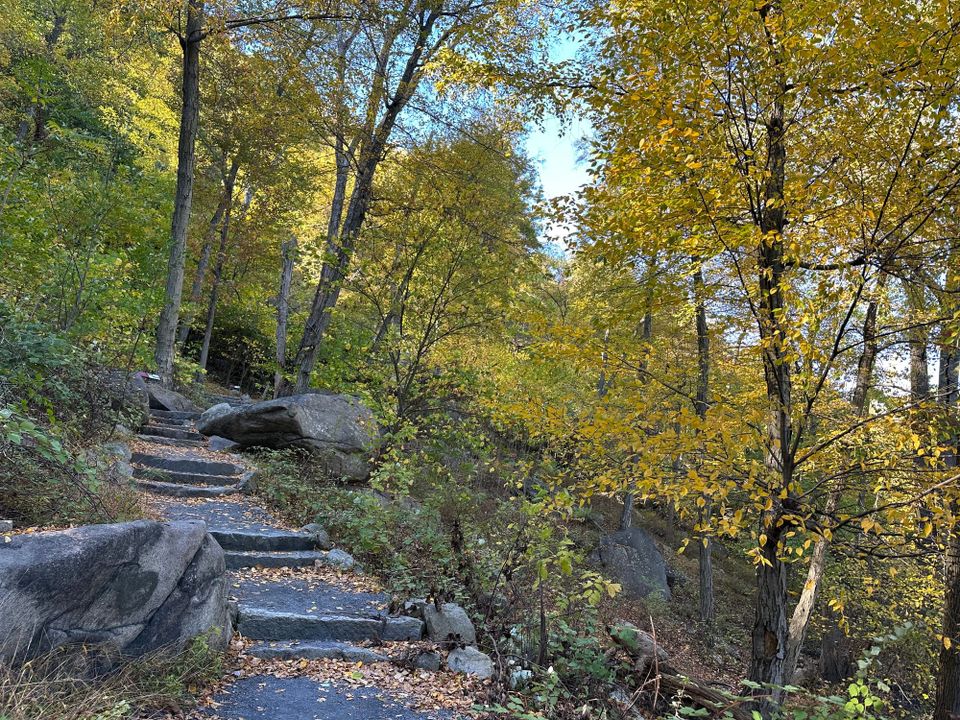 New Paper: Golden, a Lightweight Non-Interactive Distributed Key Generation Protocol