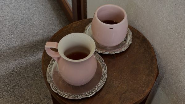 ユーゲニオイデスとの邂逅〜その1 / 2024年10月1日〜