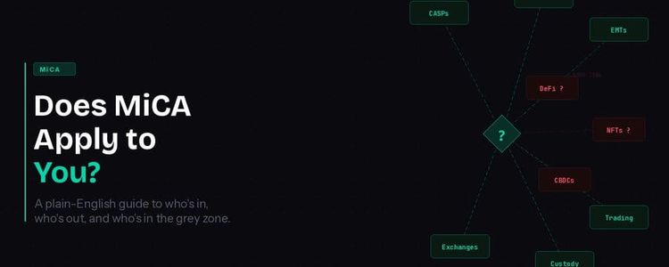 Does MiCA Apply to You?