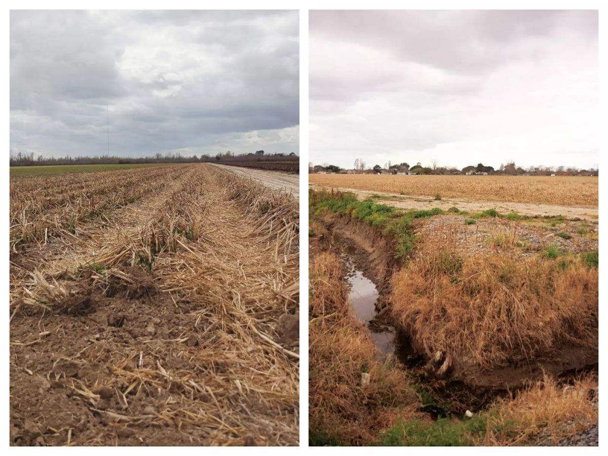 As Wildfires Burn Across Louisiana, WBR Leaders Offer No Answers on Burn Ban