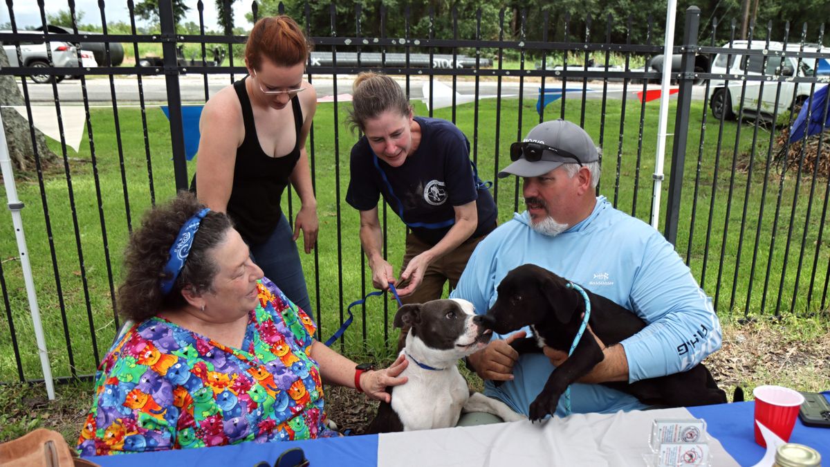 WBR Shelter Workers Show Dedication Despite Low Event Turnout