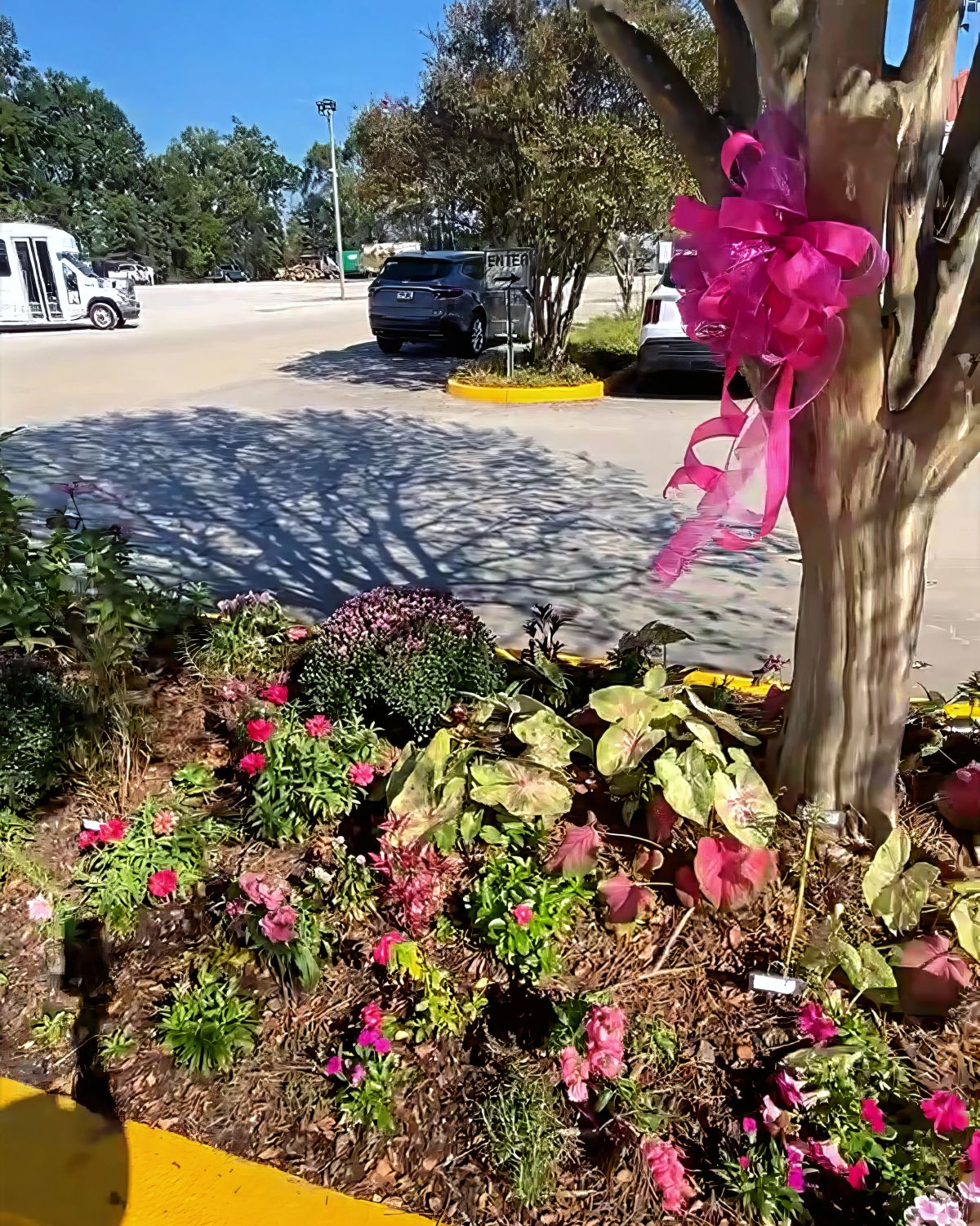 Garden Club Dedicates "Beauty of Life" Pink Garden for Cancer Awareness