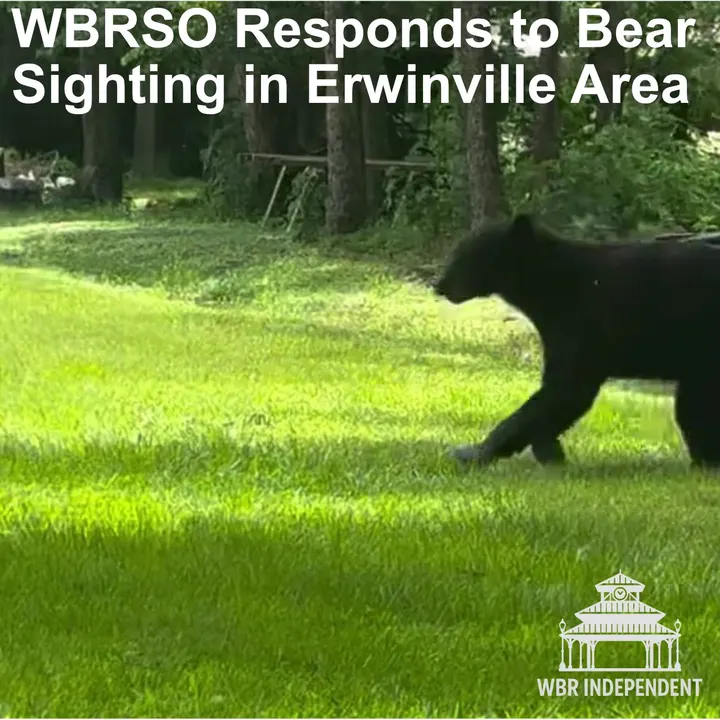 WBRSO Responds to Bear Sighting in Erwinville Area