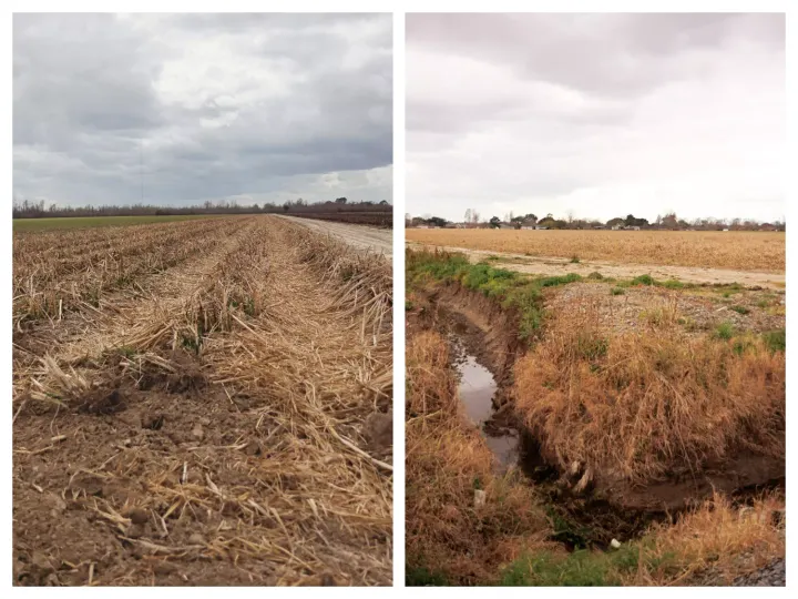 As Wildfires Burn Across Louisiana, WBR Leaders Offer No Answers on Burn Ban