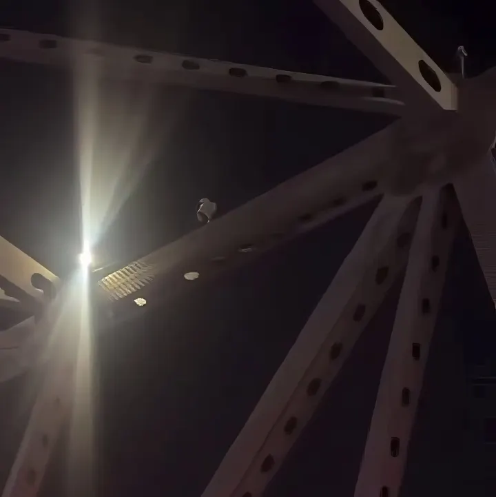 I-10 bridge closed nearly 9 hours after person climbs structure during mental health crisis