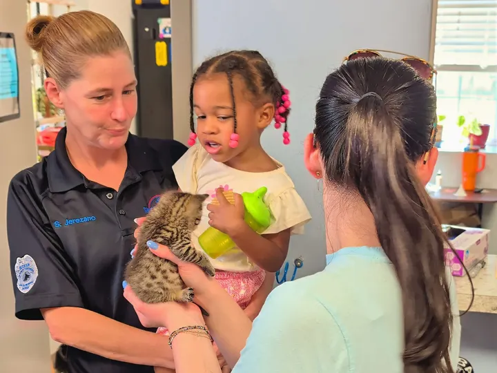 WBR Shelter's Adoption Event Drew a Bigger Crowd This Year. Four Animals Went Home.