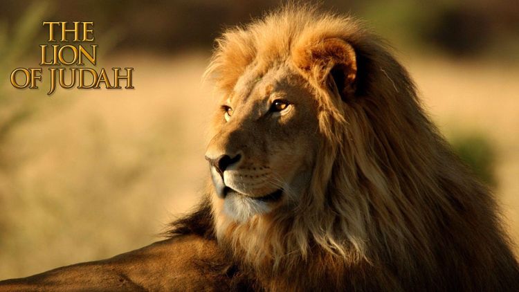 The Gathering of Israel Through Judah
