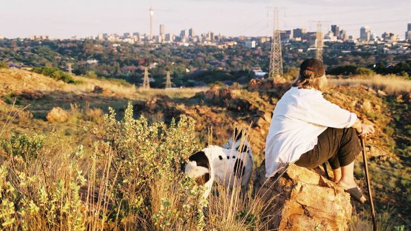a view of Johannesburg from Melville Koppies, 2002