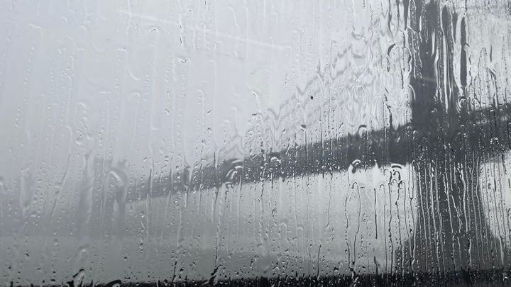 A Beautiful Day in New York with a Note on Intelligence