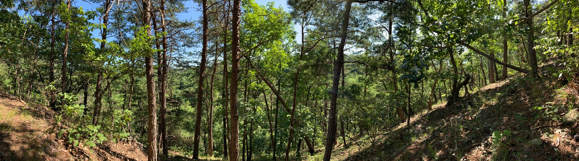 Environmental Data Literacy