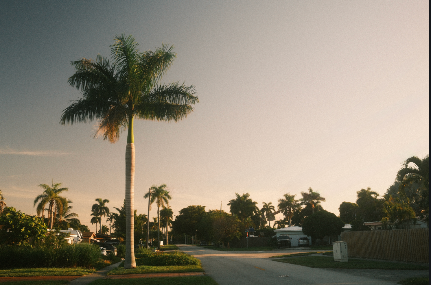 South Florida Morning