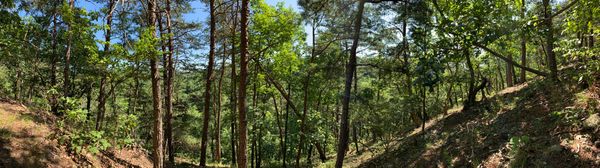 Environmental Data Literacy