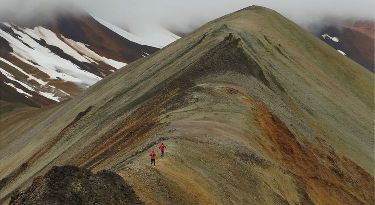 Movement as Medicine v. Movement for Performance