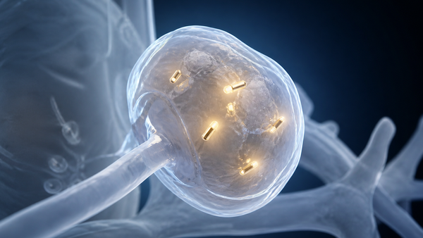 After Moderna's Cancer Vaccine Sent Biotech Running, Who Might Be the Next Oncology Disruptors?