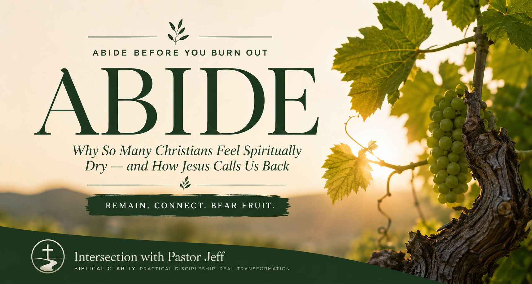 Abide Before You Burn Out Why So Many Christians Feel Spiritually Dry — and How Jesus Calls Us Back