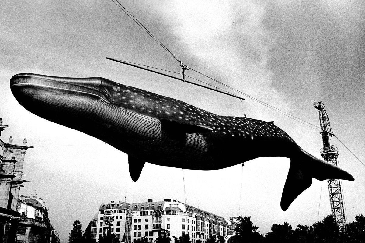 La paura di non farcela, in quella Parigi catturata da Daido Moriyama