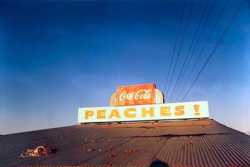 William Eggleston's Guide. La bibbia degli amanti della fotografia a colori