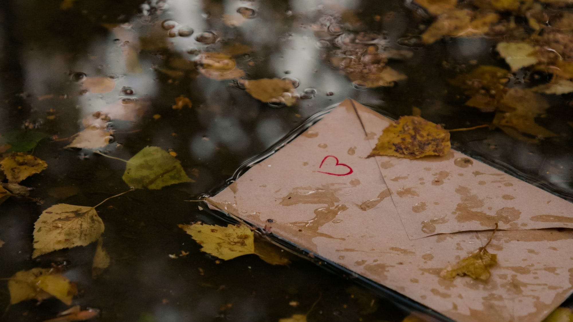 a piece of paper that is laying on the ground