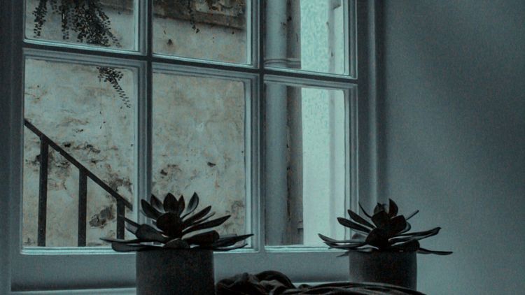 Gray Divorce After 60: Why Endurance Turns Into a Decision