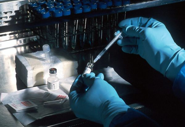 Venda de US$15,7 milhões por diretor da Progenics (PGEN) levanta atenção sobre insider trading em biotech.