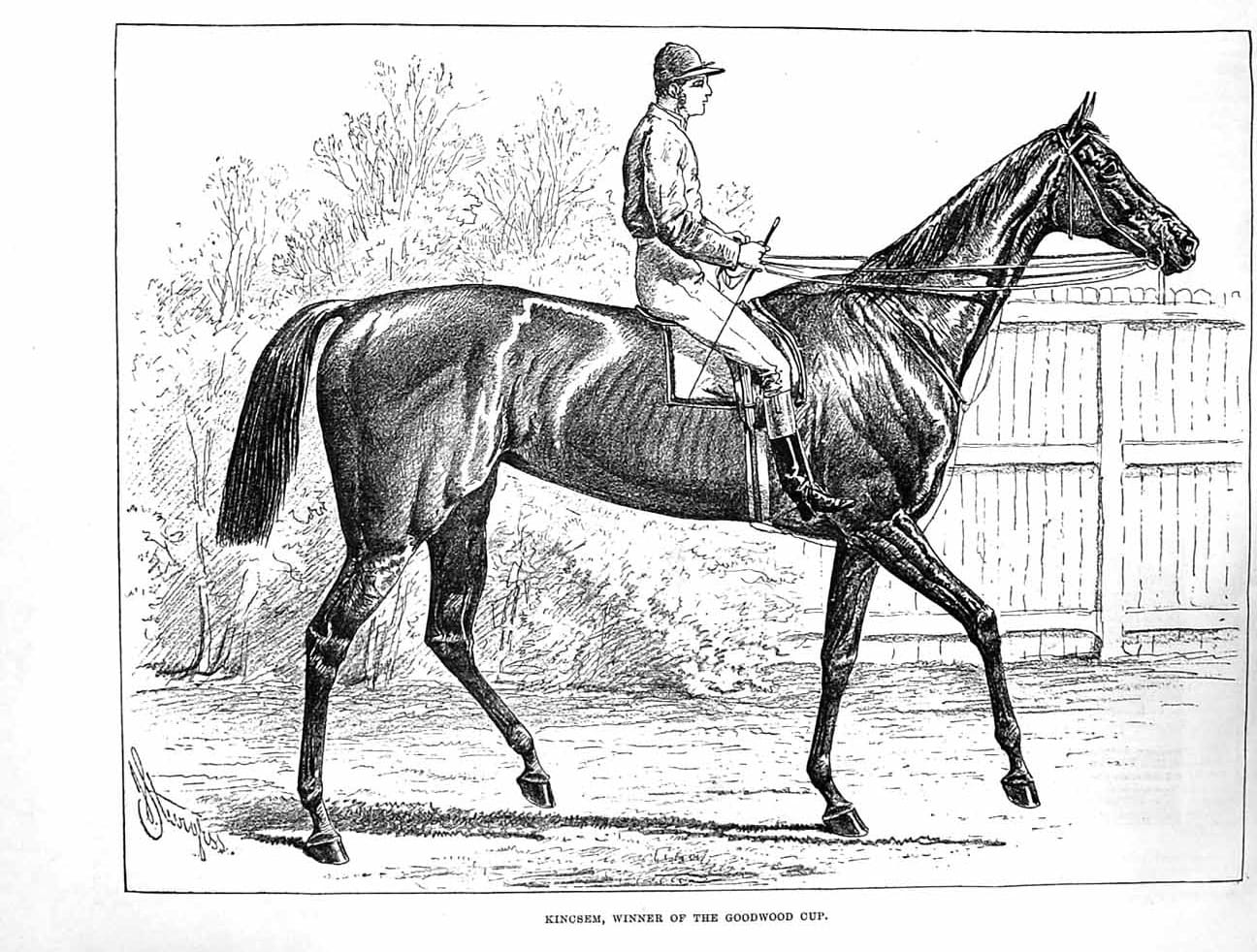Kincsem after winning the Goodwood Cup — Illustrated London News, 1878. Public domain.