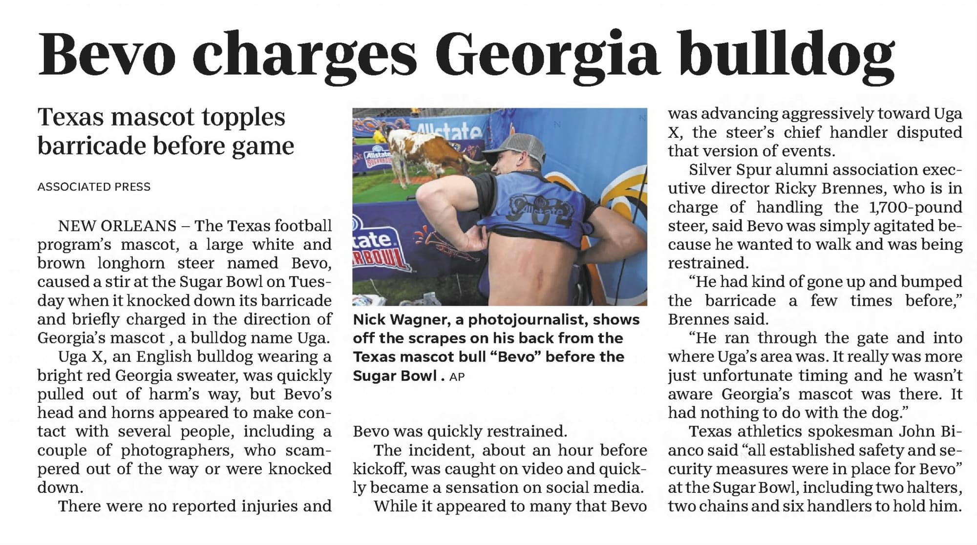 “Bevo charges Georgia bulldog” — Jan. 2019. Handlers' official position: it had nothing to do with the dog.