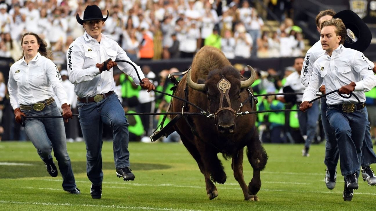 The best entrance in American sports: a bison at 25 mph, steered — approximately — by five sprinting students.